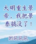 大明重生景帝，我把景泰搞没了！