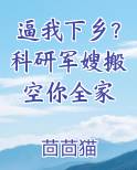 逼我下乡？科研军嫂搬空你全家推荐小说
