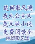 楚倾歌风漓夜九公主又美又飒小说免费阅读全文