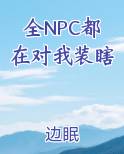 全NPC都在对我装瞎小说全文免费阅读