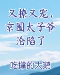 又撩又宠,京圈太子爷沦陷了免费阅读
