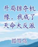 开局掠夺机缘,我成了天命大反派小说