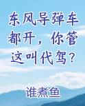 东风导弹车都开,你管这叫代驾? 第509章