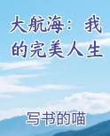 大航海：我的完美人生