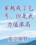 穿越成了乞丐，但是武力值很高
