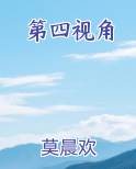 第四视角完结了吗